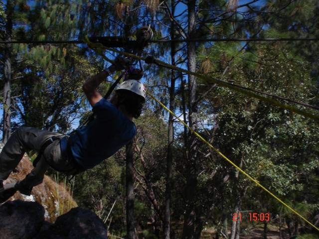  Canopy 