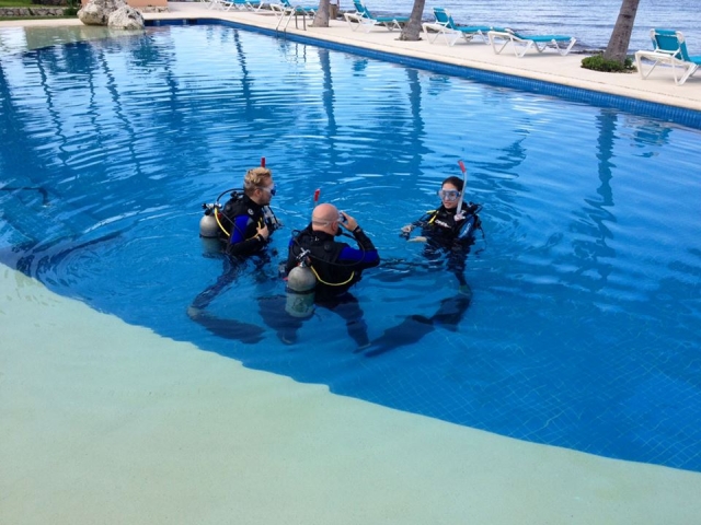  Diving courses 