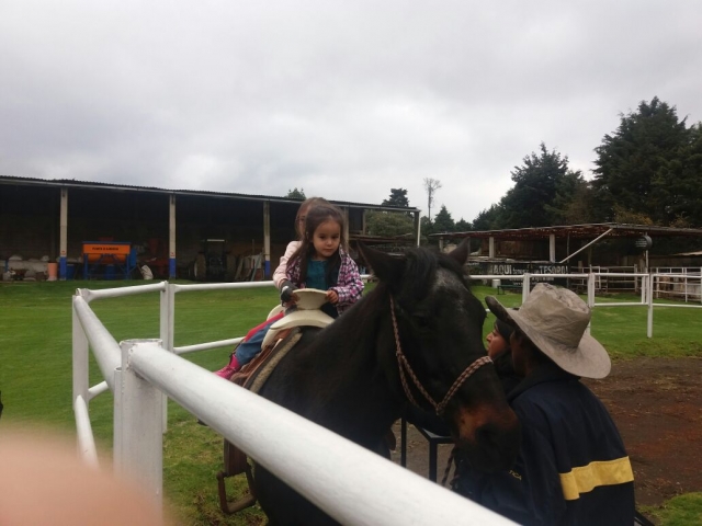  Interagir avec les chevaux 
