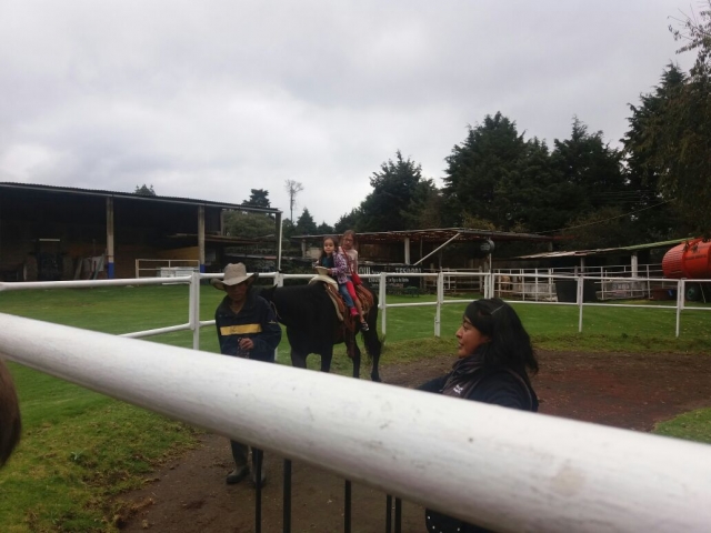  Équitation guidée 