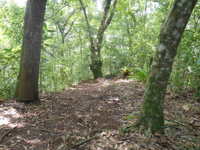  curtir a natureza 