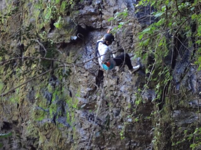 Abseilen in der Natur Felsen 
