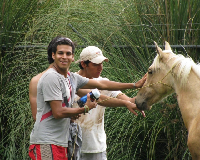 Interactuando con la naturaleza y nuestros animales