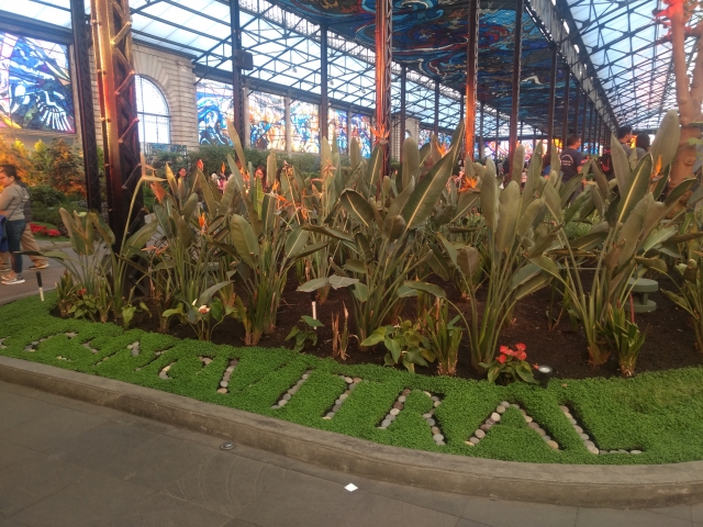 Plantas autóctonas