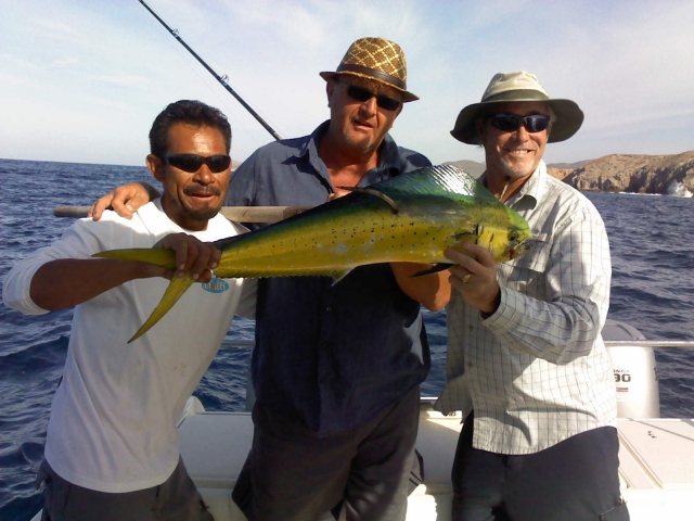  Dorado 