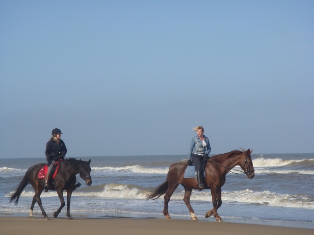 Cabalgatas en la playa 