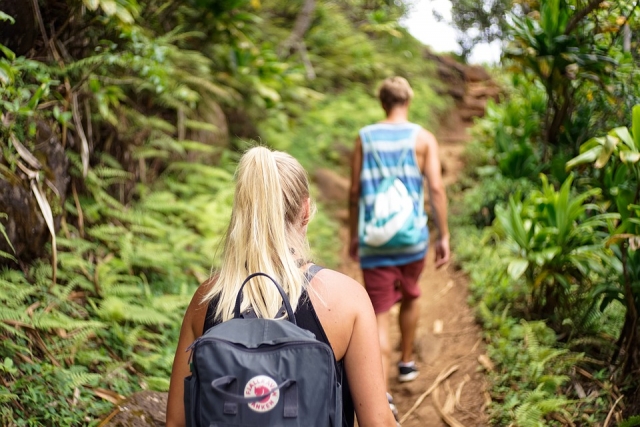 Caminata entre la selva 