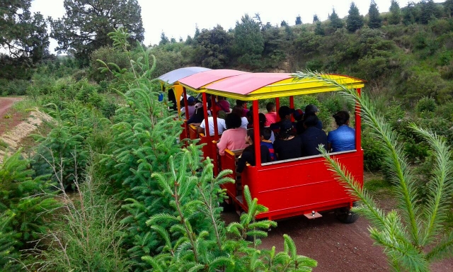  Ride the train 