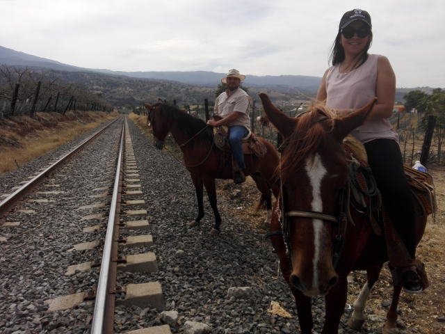  Passeggiate a cavallo Vias 