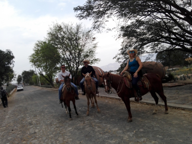 Passeggiate a cavallo con tequila 