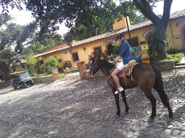  Passeggiate a cavallo Hacienda 