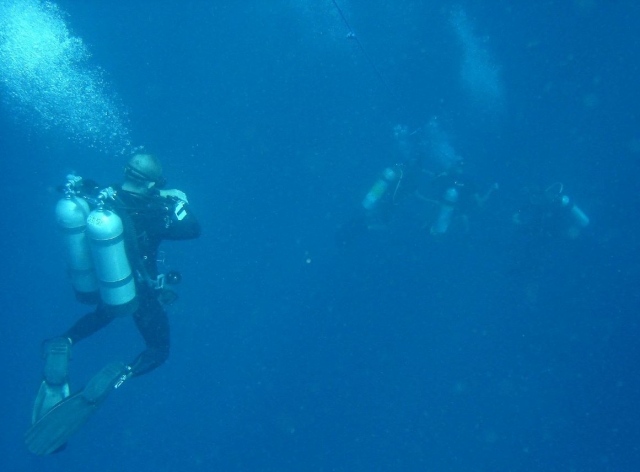  Mergulho acompanhado 