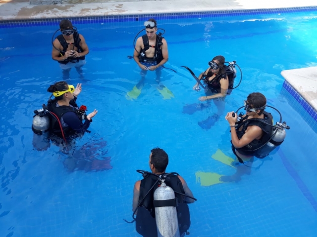  Apprendre à plonger à Sayulita 