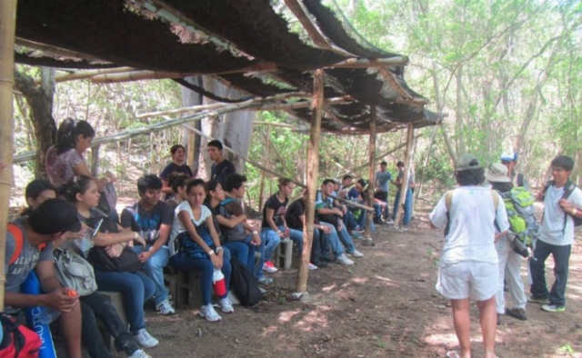  activities schools 