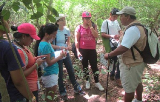  observation group 