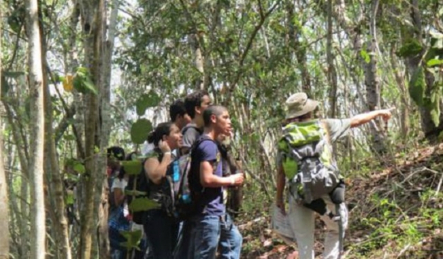  guide explaining 