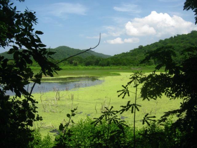  wetlands 