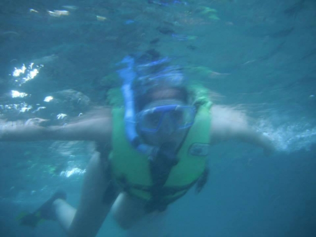 Snorkel en sonora 