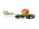 Green Forest Tours