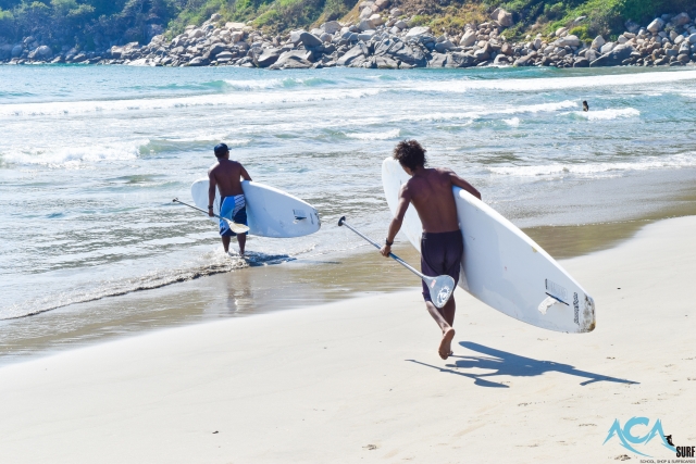  Laufen Sie, um das Paddle-Surfen auszuprobieren 