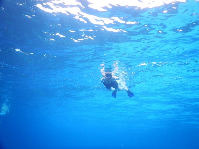  Schwimmen Sie wie ein anderer Fisch 