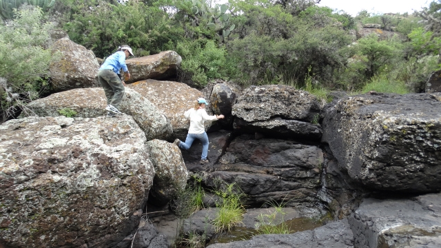 Trekking
