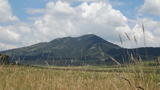 Montana
