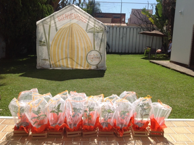  butterflies kit tikuva 