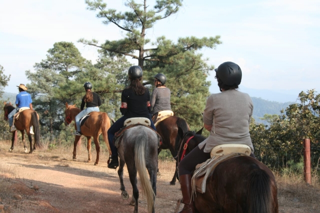  Apprenez à connaître les environs à cheval 