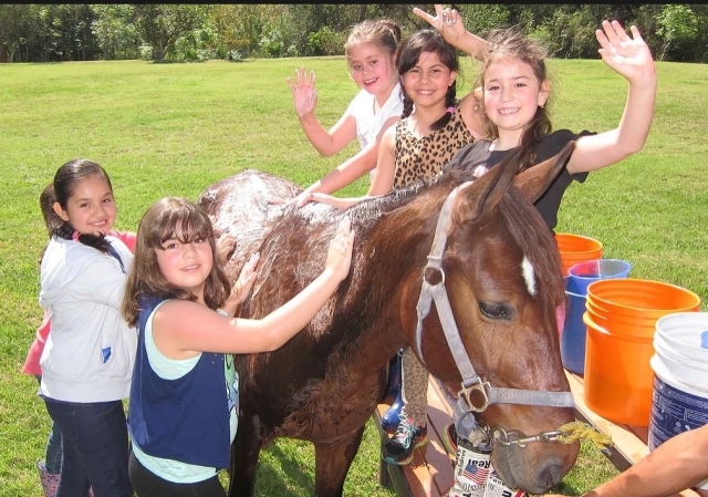 Enfants toilettant le cheval 