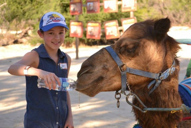  Camelos e caminhadas 