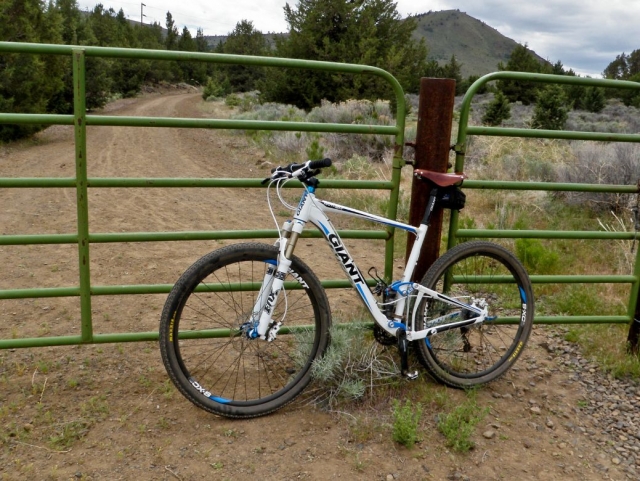  Bike leaning on the fence 