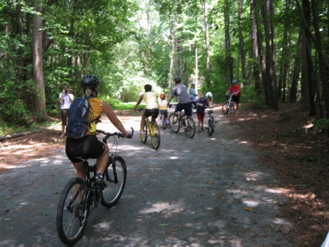  On a bike between the forest paths 