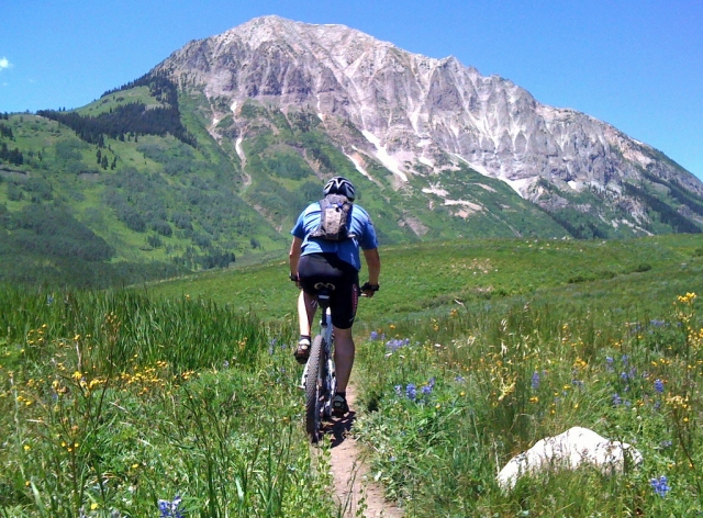  Pedaling to the top