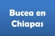 Bucea en Chiapas