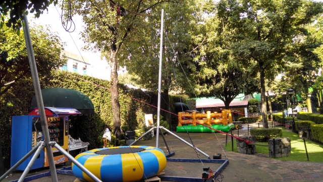 bungy monoplaza