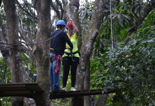 Monitorbefestigung des Kabelbaums