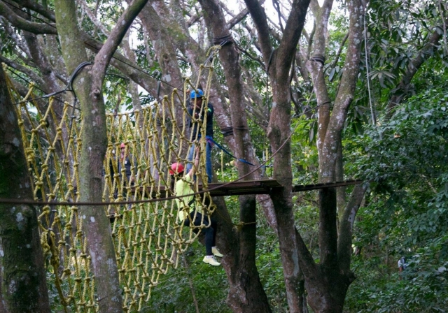 Netz zwischen den Bäumen