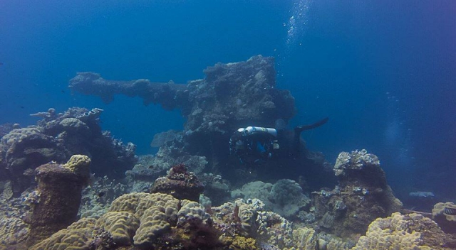  Diving in reefs 