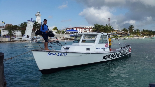  barco para fazer snorkeling 