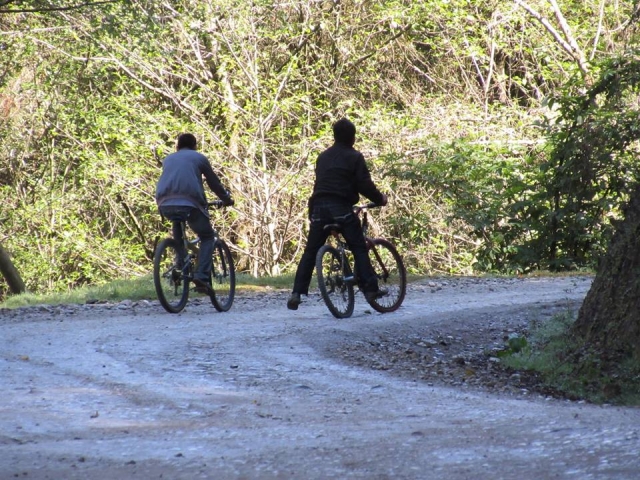  percorso ciclabile
