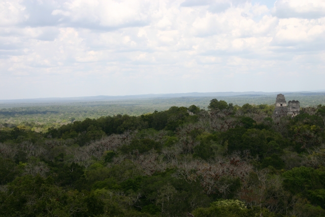  Sierra Central Veracruz 