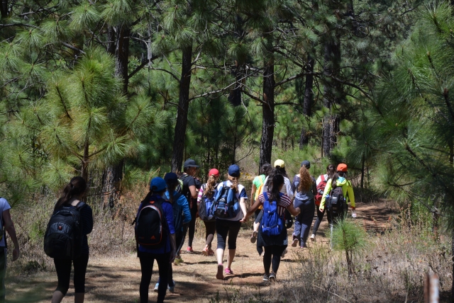  Hike in the camp 