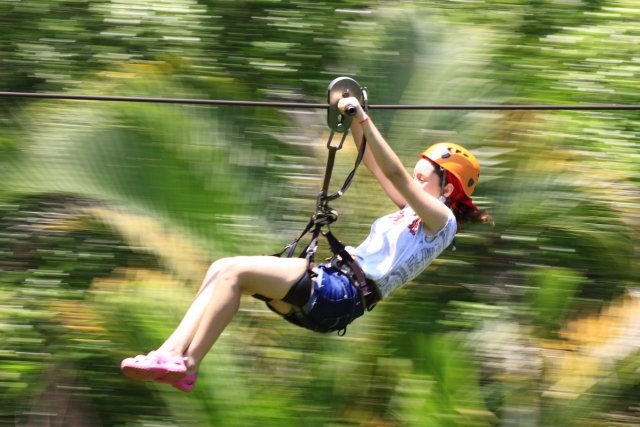  Canopy at the camp 