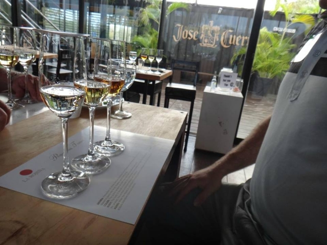 Experiencia de tequila 