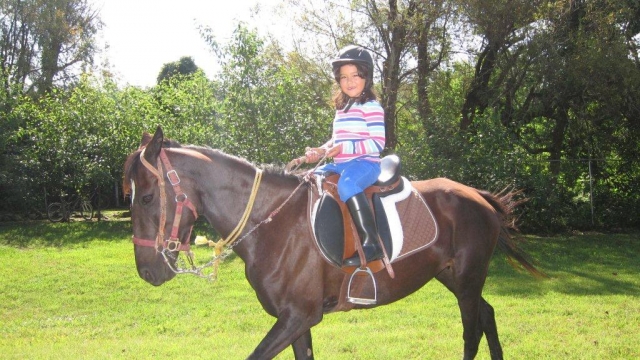  Little rider 