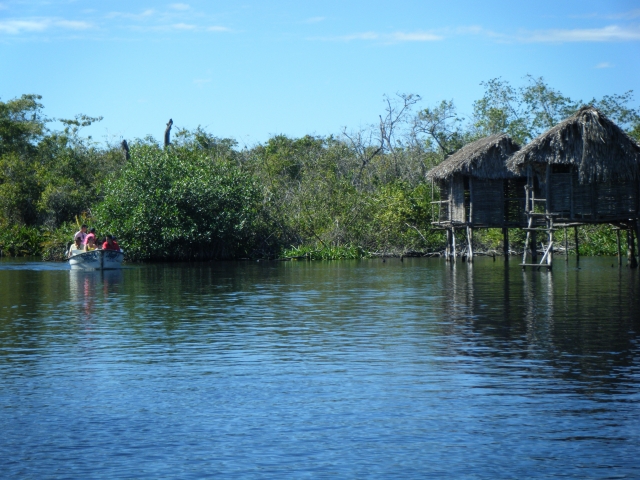  Giungla di San Blas 