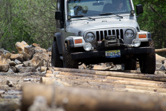  Adventure between the logs 
