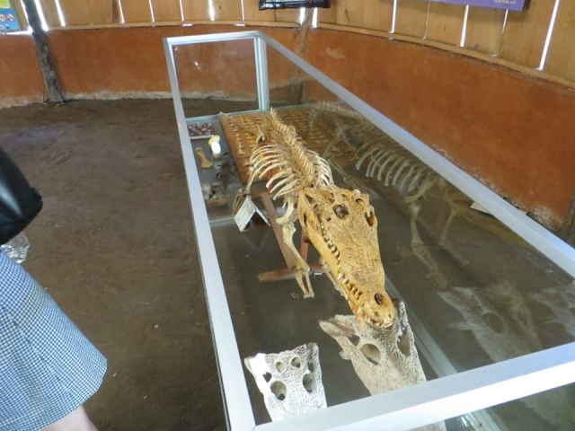  Ti avviciniamo al museo 