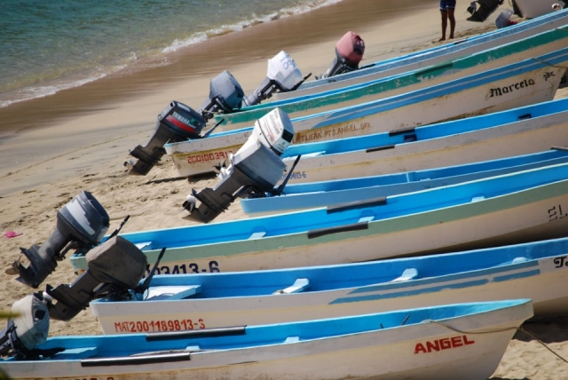 Barche da pesca 